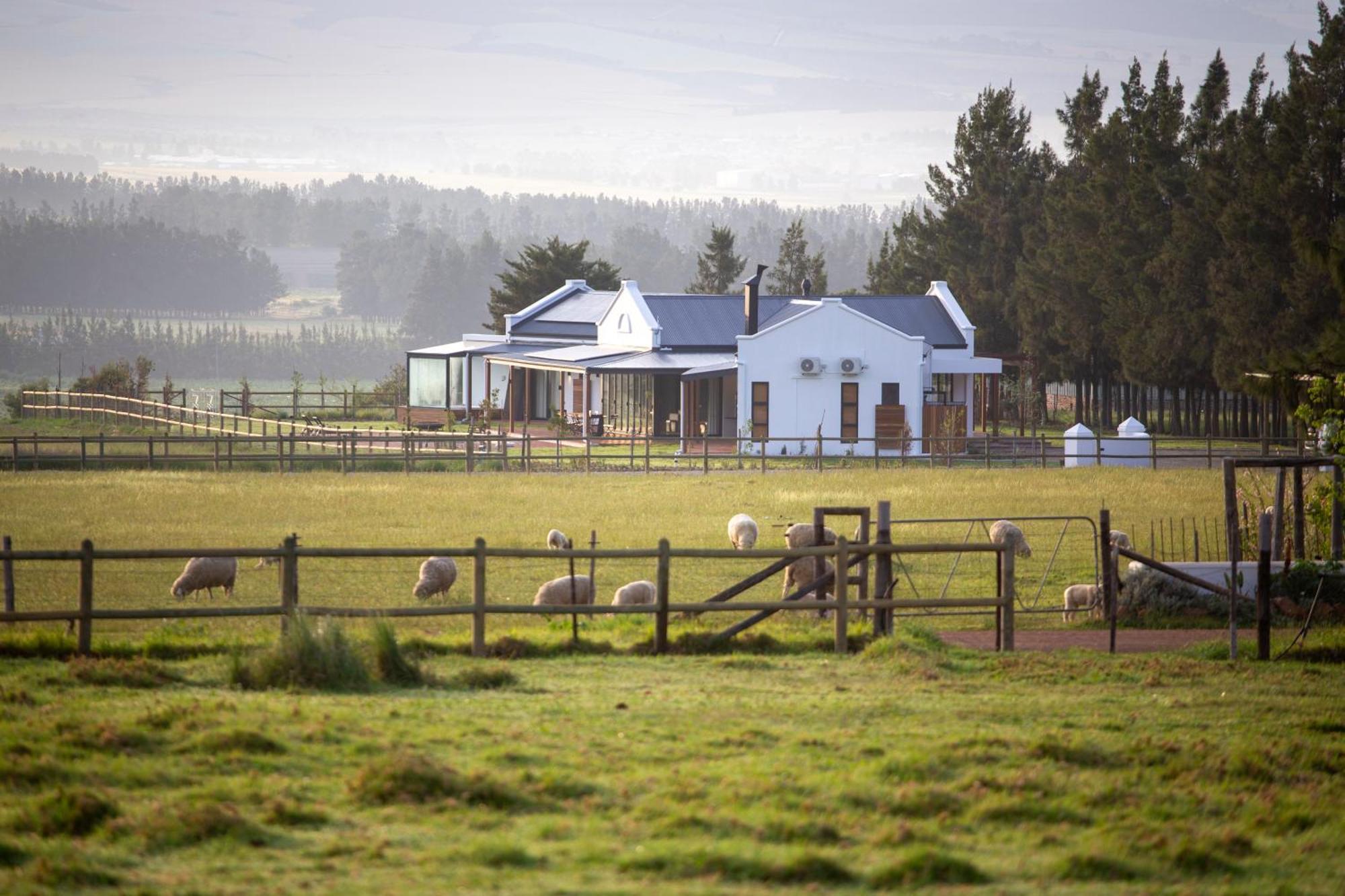 Raptor Rise Tulbagh Kültér fotó